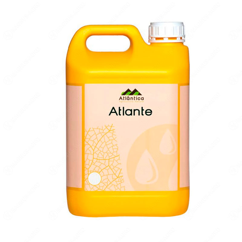 Product image for Атланте (Atlante) (1л)