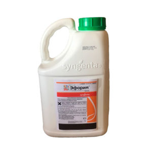 Эфория, КС Syngenta инсектицид