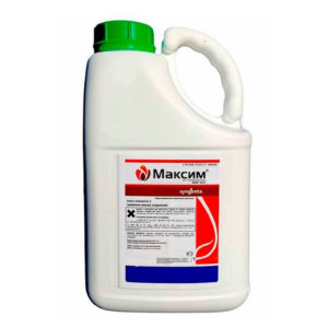 Максим, КС Syngenta фунгицид-протравитель