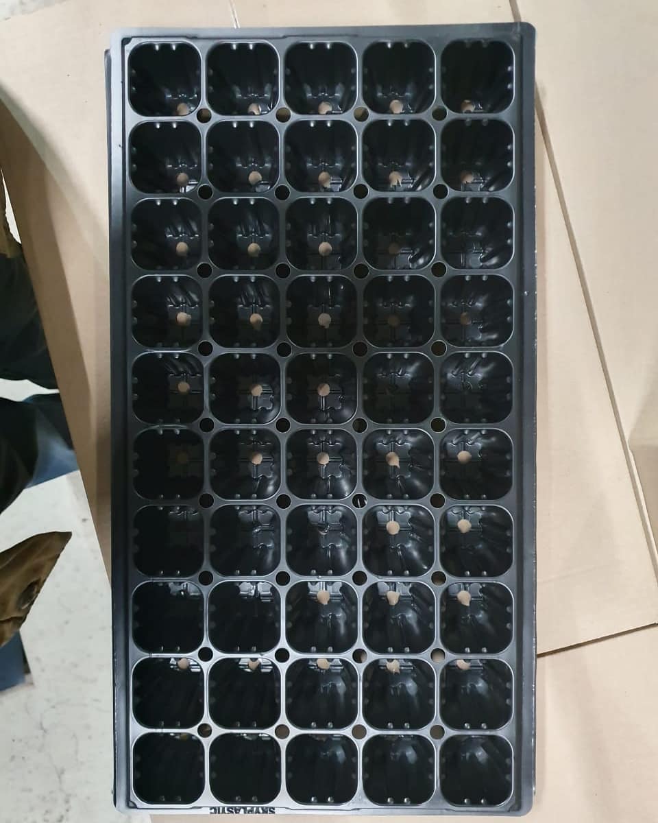 Кассета для рассады 50-я ячейка (100 шт) — изображение 4