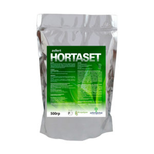 Удобрение Hortaset (Хортасет) 0.5кг