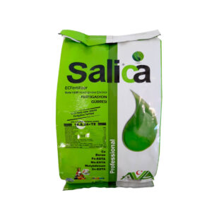Salica Professional 16-8-24+TE Avagro 1кг, 5кг